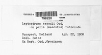 Image Associated With the Occurence